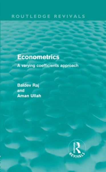 Produktbild: Raj, B: Econometrics