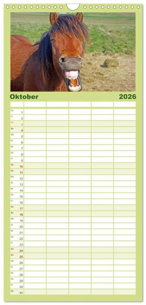 Produktbild: Familienplaner 2026 - Die Pferde Islands mit 5 Spalten (Wandkalender, 21 x 45 cm) CALVENDO