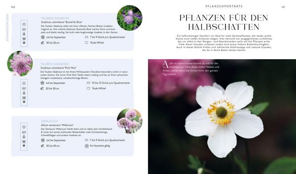 Produktbild: Bl&uuml;tenpracht und Erntegl&uuml;ck &ndash; Dein Weg zum Traumgarten