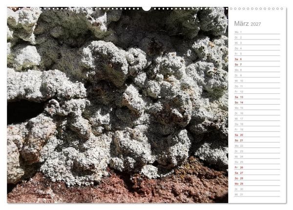 Produktbild: Abstrakte Umwelt (Wandkalender 2027 DIN A2 quer), CALVENDO Monatskalender