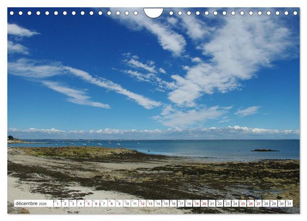 Produktbild: Quiberon C&ocirc;t&eacute; sauvage (Calendrier mural 2026 DIN A4 vertical), CALVENDO calendrier mensuel