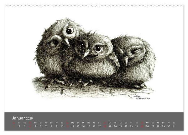 Produktbild: owls & friends 2026 (hochwertiger Premium Wandkalender 2026 DIN A2 quer), Kunstdruck in Hochglanz