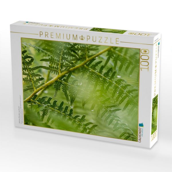 Produktbild: CALVENDO Puzzle Adlerfarn (Pteridium aquilinum) | 1000 Teile Lege-Gr&ouml;&szlig;e 64x48cm Foto-Puzzle f&uuml;r gl&uuml;ckliche Stunden