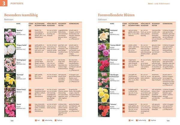 Produktbild: Rosen pflegen