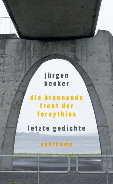 Produktbild: Die brennende Front der Forsythien