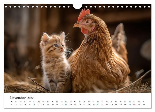 Produktbild: Wenn Tiere Freunde werden (Wandkalender 2027 DIN A4 quer), CALVENDO Monatskalender
