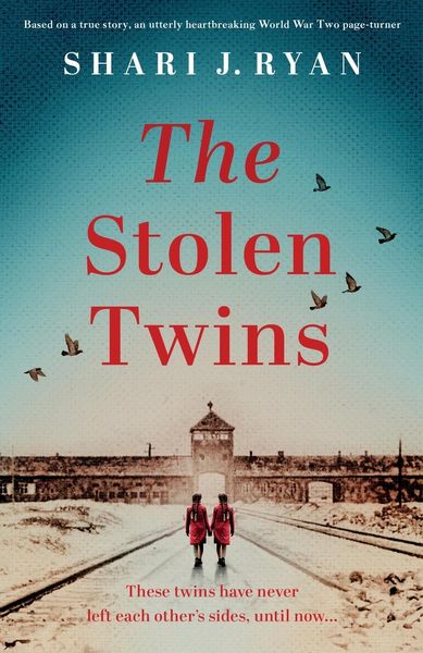 Produktbild: The Stolen Twins