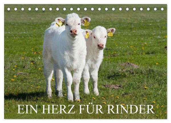 Produktbild: Ein Herz f&uuml;r Rinder (Tischkalender 2026 DIN A5 quer), CALVENDO Monatskalender