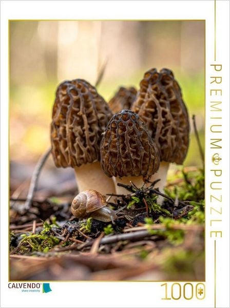 Produktbild: CALVENDO Puzzle Morcheln und Schnecke | 1000 Teile Lege-Gr&ouml;&szlig;e 64x48cm Foto-Puzzle f&uuml;r gl&uuml;ckliche Stunden
