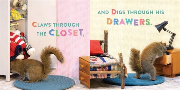 Produktbild: Oakley the Squirrel: The Search for Z