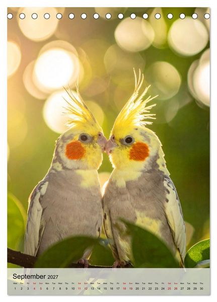 Produktbild: Cockatiel Dreams (Desk Calendar 2027 DIN A5 portrait), CALVENDO 12 Month DeskCalendar