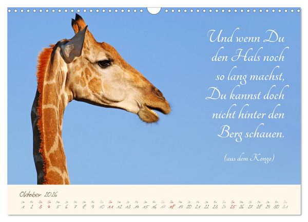 Produktbild: AFRIKA mit einem Hauch von Poesie (Wandkalender 2026 DIN A3 quer), CALVENDO Monatskalender