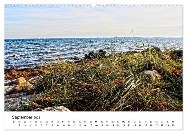 Produktbild: Strande und B&uuml;lk 2026 (Wandkalender 2026 DIN A2 quer), CALVENDO Monatskalender