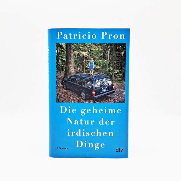 Produktbild: Die geheime Natur der irdischen Dinge