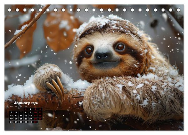 Produktbild: sweet sloths - relaxed throughout the year (Desk Calendar 2026 DIN A5 landscape), CALVENDO 12 Month DeskCalendar