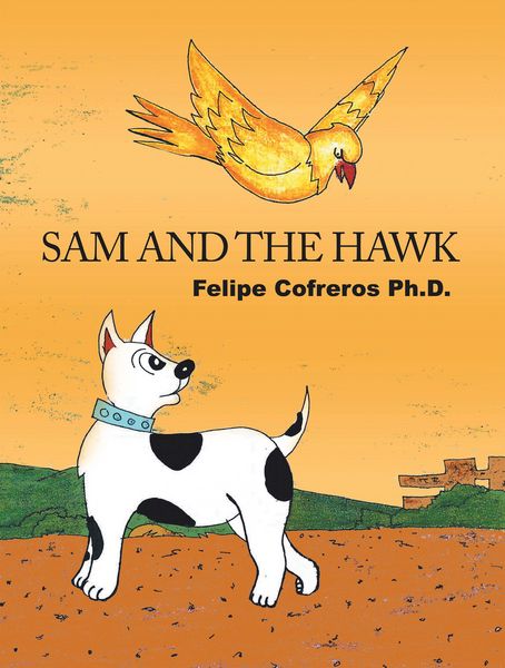 Produktbild: Sam and the Hawk