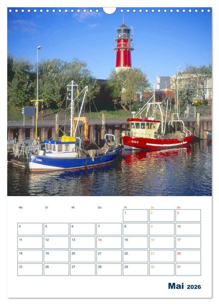 Produktbild: Vielseitiges B&uuml;sum (Wandkalender 2026 DIN A3 hoch), CALVENDO Monatskalender
