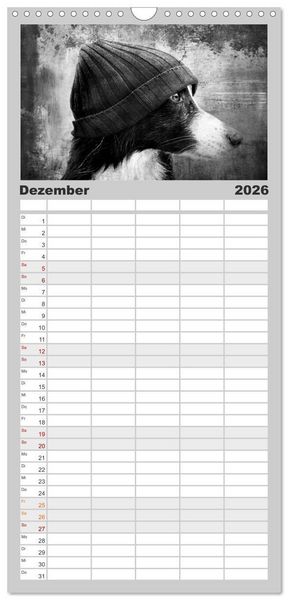 Produktbild: Familienplaner 2026 - H&uuml;tehunde mit 5 Spalten (Wandkalender, 21 x 45 cm) CALVENDO