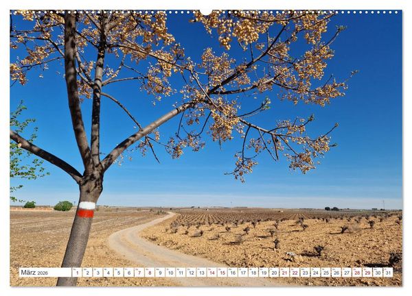 Produktbild: Camino Levante - magische Momente auf stillen Wegen (Wandkalender 2026 DIN A2 quer), CALVENDO Monatskalender