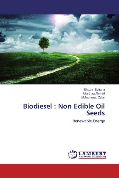 Produktbild: Biodiesel : Non Edible Oil Seeds