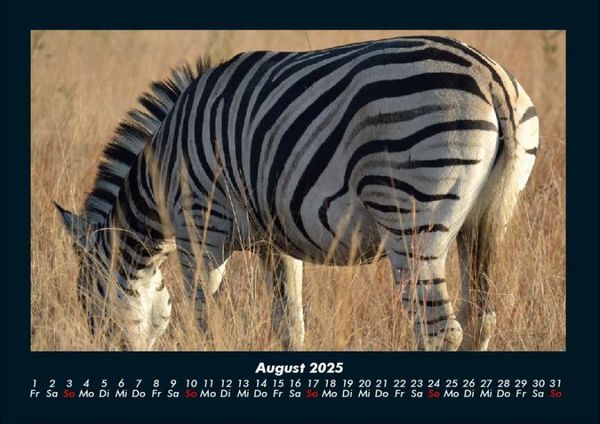 Produktbild: Zebrazauber 2025 Fotokalender DIN A4