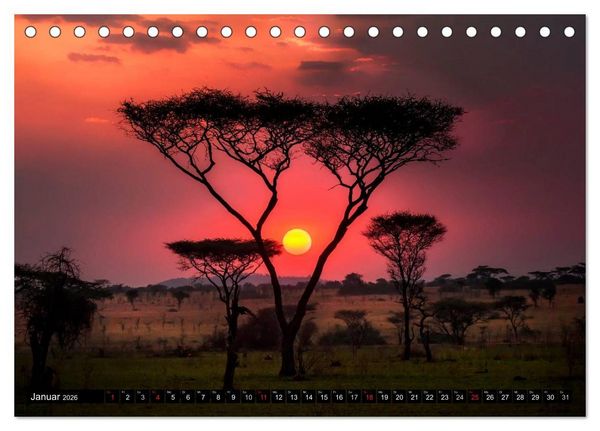 Produktbild: Afrikas B&auml;ume (Tischkalender 2026 DIN A5 quer), CALVENDO Monatskalender