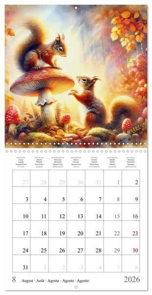 Produktbild: Magie de l'&eacute;cureuil (Calendrier mural carr&eacute; 2026 30x30 cm) Calendrier double avec une page pour vos prises de notes