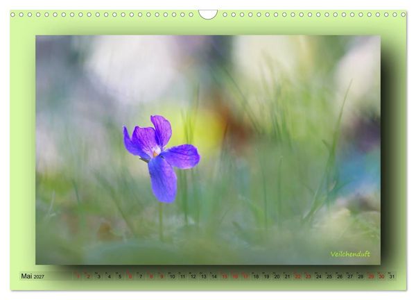 Produktbild: Foto-Art-Natur (Wandkalender 2027 DIN A3 quer), CALVENDO Monatskalender