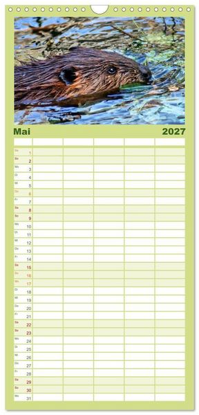 Produktbild: Familienplaner 2027 - Das Leben der Biber mit 5 Spalten (Wandkalender, 21 x 45 cm) CALVENDO