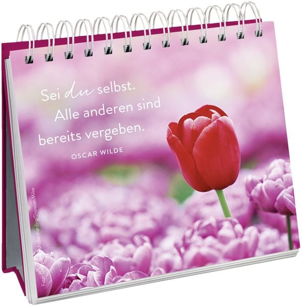 Produktbild: 100 kleine Herzenswünsche für dich