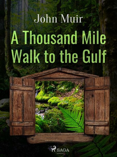 Produktbild: A Thousand Mile Walk to the Gulf