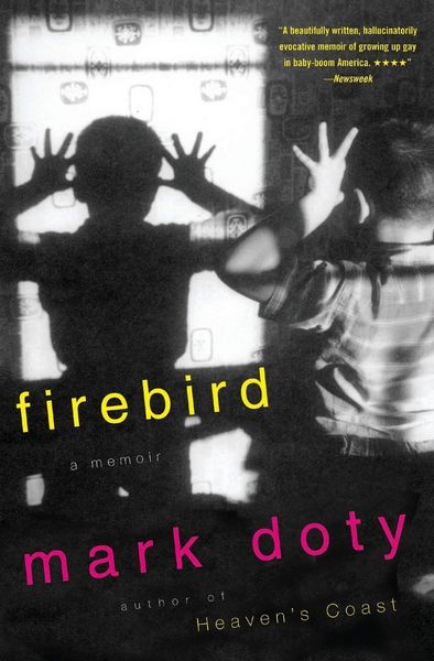 Produktbild: Firebird