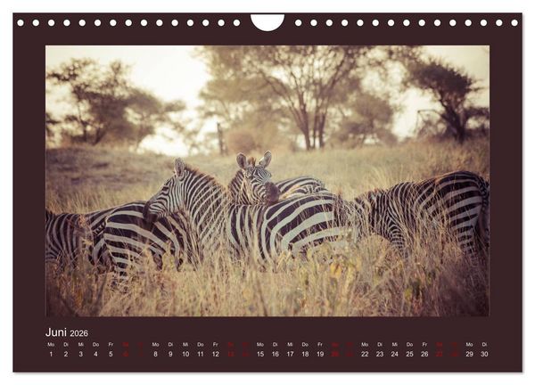 Produktbild: Tansania - Mensch, Tier und Landschaft (Wandkalender 2026 DIN A4 quer), CALVENDO Monatskalender
