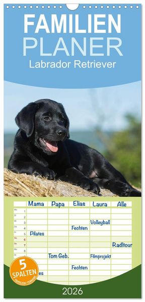 Produktbild: Familienplaner 2026 - Labrador Retriever 2026 mit 5 Spalten (Wandkalender, 21 x 45 cm) CALVENDO