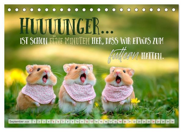 Produktbild: Hamsterhumor - Kleine Zuckerschnute, aber oho (Tischkalender 2026 DIN A5 quer), CALVENDO Monatskalender