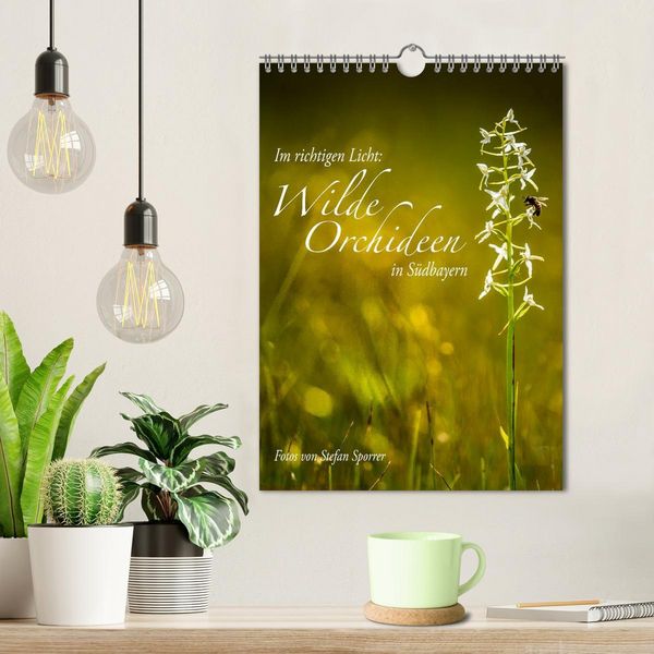 Produktbild: Im richtigen Licht: Wilde Orchideen in S&uuml;dbayern (Wandkalender 2026 DIN A4 hoch), CALVENDO Monatskalender