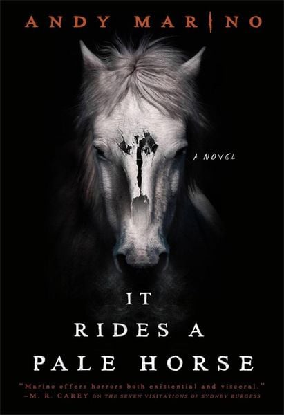 Produktbild: It Rides a Pale Horse
