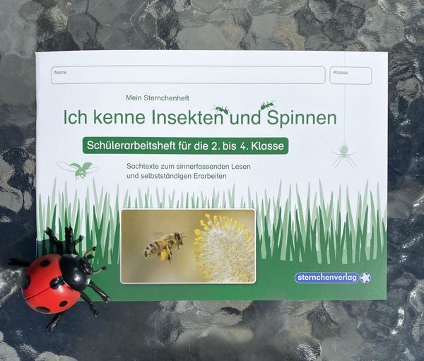 Produktbild: Ich kenne Insekten und Spinnen - Sch&uuml;lerarbeitsheft f&uuml;r die 2. bis 4. Klasse