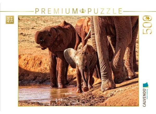 CALVENDO Puzzle Elefanten....verspielt und niedlich | 500 Teile Lege-Größe 48 × 36 cm Foto-Puzzle für Erwachsene