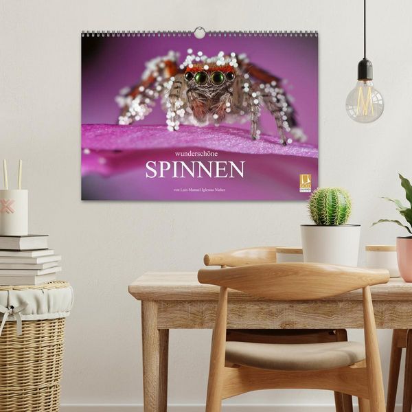 Produktbild: Wundersch&ouml;ne Spinnen (Wandkalender 2026 DIN A3 quer), CALVENDO Monatskalender
