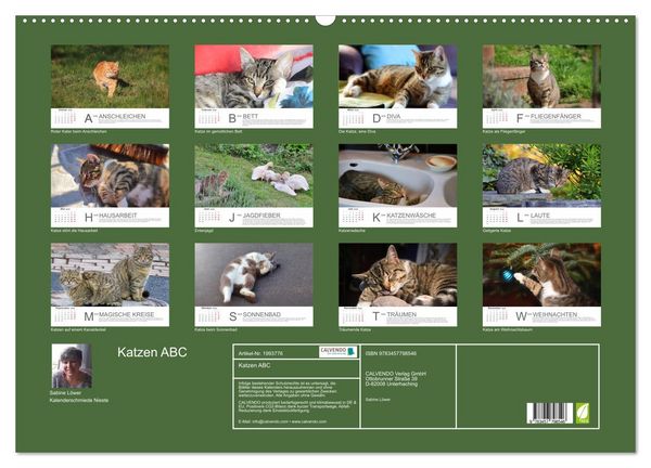 Produktbild: Katzen ABC (Wandkalender 2026 DIN A2 quer), CALVENDO Monatskalender