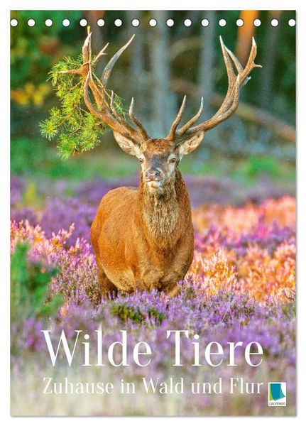Produktbild: Wilde Tiere: Zuhause in Wald und Flur (Tischkalender 2026 DIN A5 hoch), CALVENDO Monatskalender