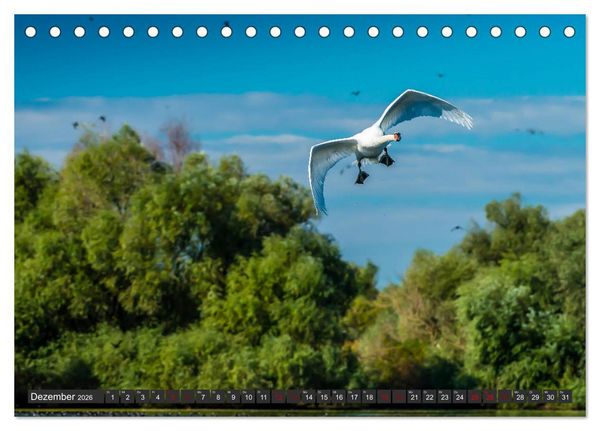 Produktbild: Das Paradies Donaudelta (Tischkalender 2026 DIN A5 quer), CALVENDO Monatskalender