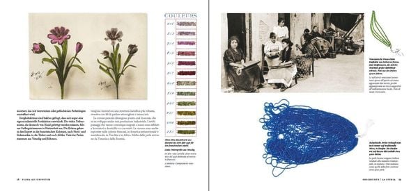 Produktbild: Flora ad infinitum