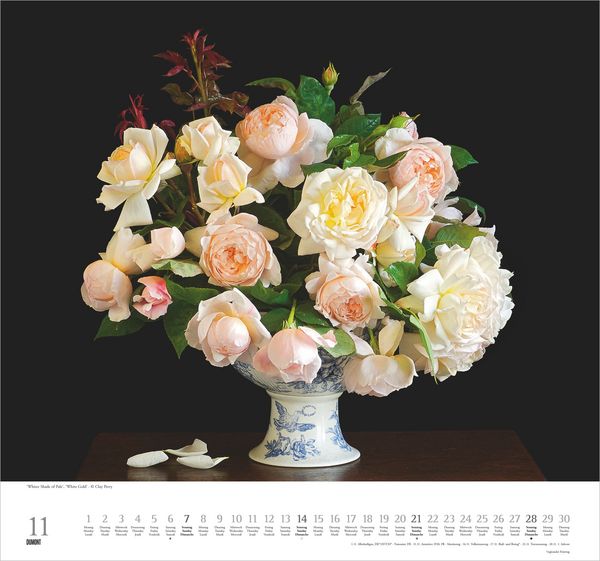 Produktbild: Geliebte Rosen 2027