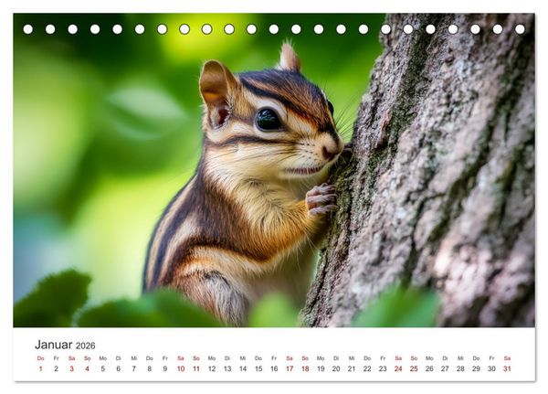 Produktbild: Backen voll - Ein Jahr mit Streifenh&ouml;rnchen (Tischkalender 2026 DIN A5 quer), CALVENDO Monatskalender