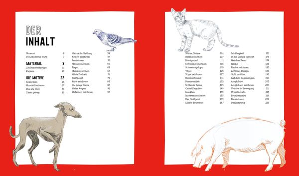 Produktbild: Genial zeichnen &ndash; Tiere