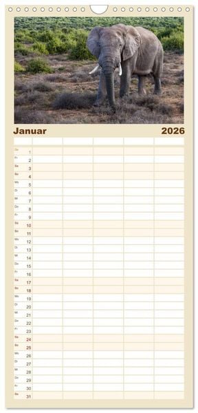 Produktbild: Familienplaner 2026 - S&uuml;dafrika - Garden Route mit 5 Spalten (Wandkalender, 21 x 45 cm) CALVENDO