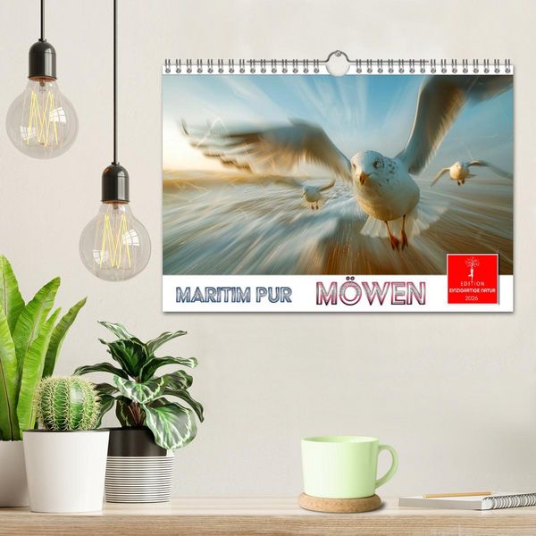 Produktbild: Maritim pur - M&ouml;wen (Wandkalender 2026 DIN A4 quer), CALVENDO Monatskalender