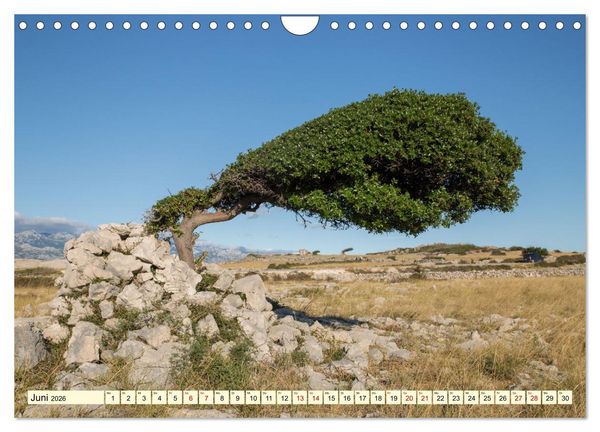 Produktbild: Kroatien - Streifz&uuml;ge durch atemberaubende Kulturlandschaften (Wandkalender 2026 DIN A4 quer), CALVENDO Monatskalender